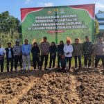 PENANAMAN JAGUNG SERENTAK KUARTAL III DAN DI LAHAN PERHUTANAN SOSIAL DIGELAR DI LOA KULU