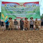 Plt. Sekcam Loa Kulu Hadiri Launching Industri Pertanian dan Penanaman Jagung Serentak di Desa Jongkang