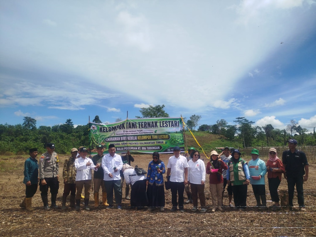 Kasi PMD Kecamatan Loa Kulu Hadiri Kegiatan Penanaman Bibit Kedelai di Desa Jembayan Tengah